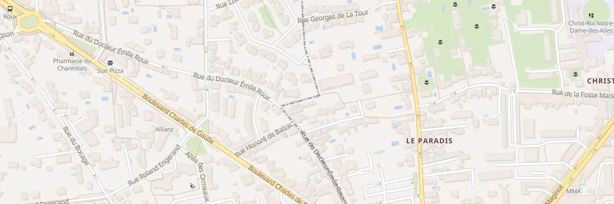 Plan du 29 Rue du Docteur Émile Roux à Tours