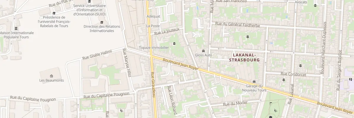 Plan du 221B Bd Jean Royer à Tours