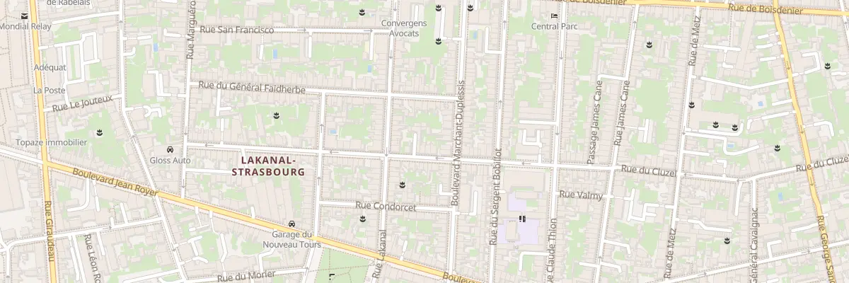 Plan du 163 Rue du Cluzel à Tours