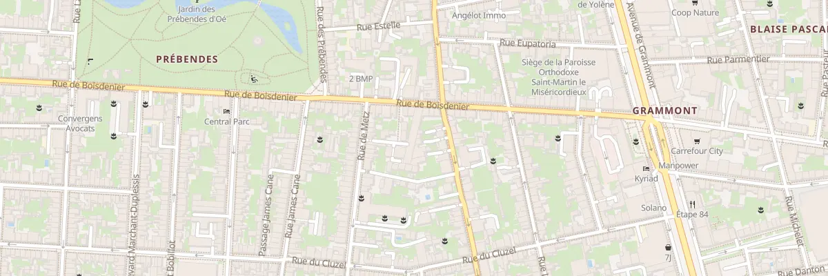 Plan du 50 Rue de Boisdenier à Tours
