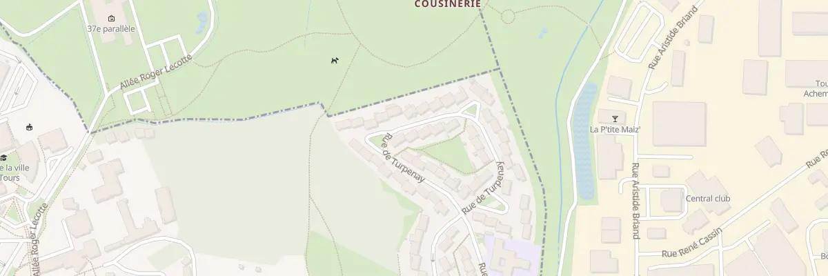 Plan du 35 Rue de Turpenay à Tours