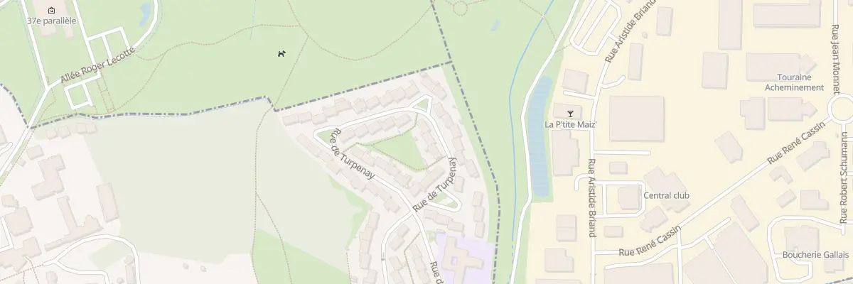 Plan du 45 Rue de Turpenay à Tours