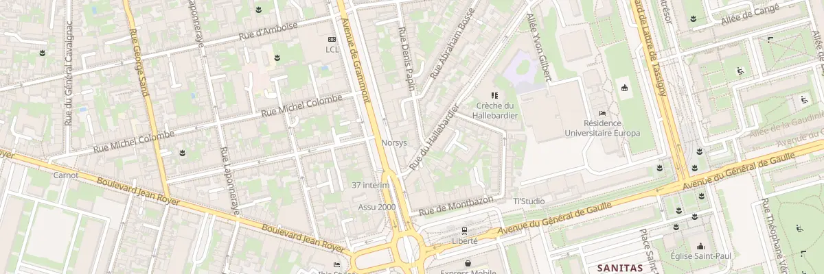 Plan du 45 Rue Denis Papin à Tours
