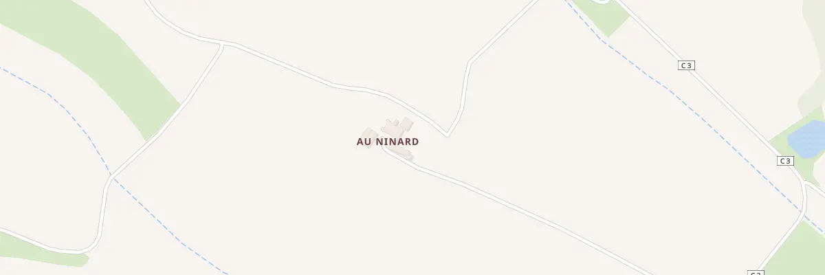 Plan du 441 Chem du Ninard à Castelnau-Barbarens