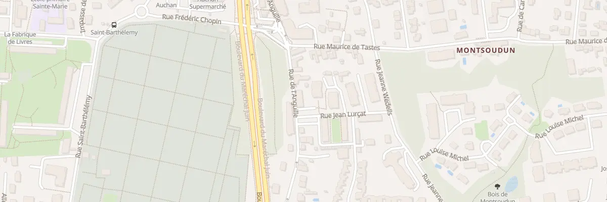 Plan du 31 Rue de l’Anguille à Tours
