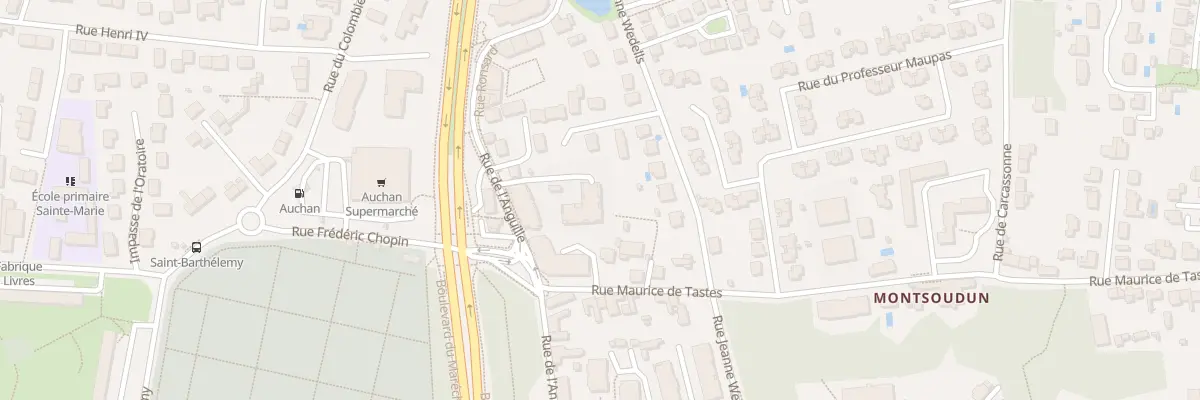Plan du 53 Rue de l’Anguille à Tours