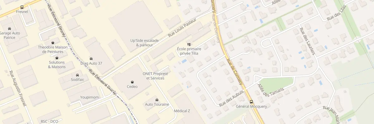 Plan du 333 Rue de Cormery à Saint-Avertin