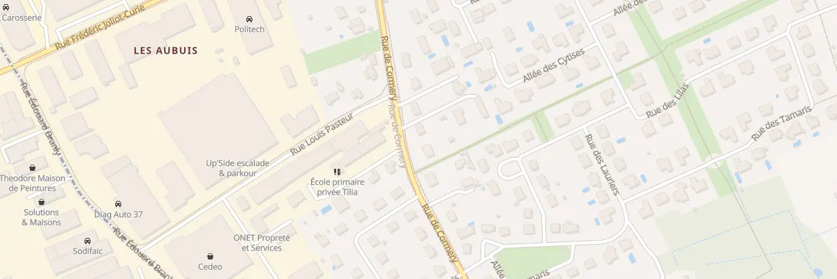 Plan du 338 Rue de Cormery à Saint-Avertin