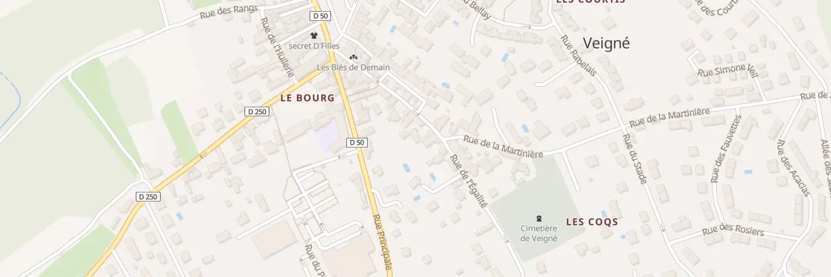 Plan du 19 Rue de l’Egalité à Veigné