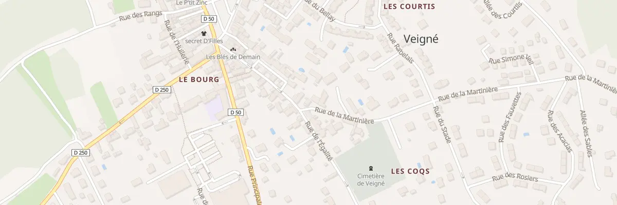 Plan du 2 Rue de la Martinière à Veigné