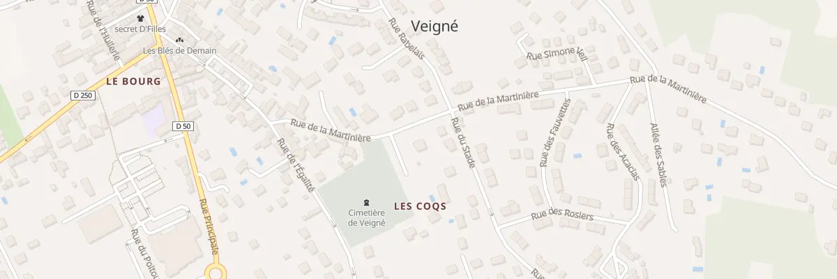 Plan du 9 Rue de la Martinière à Veigné