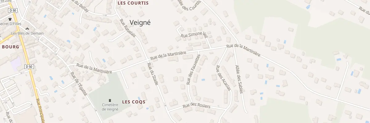 Plan du 19 Rue de la Martinière à Veigné