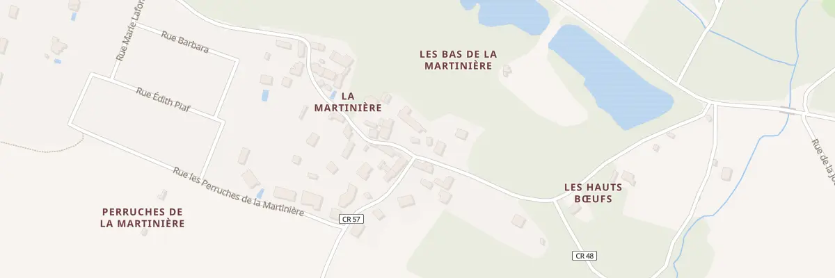 Plan du 90 Rue de la Martinière à Veigné