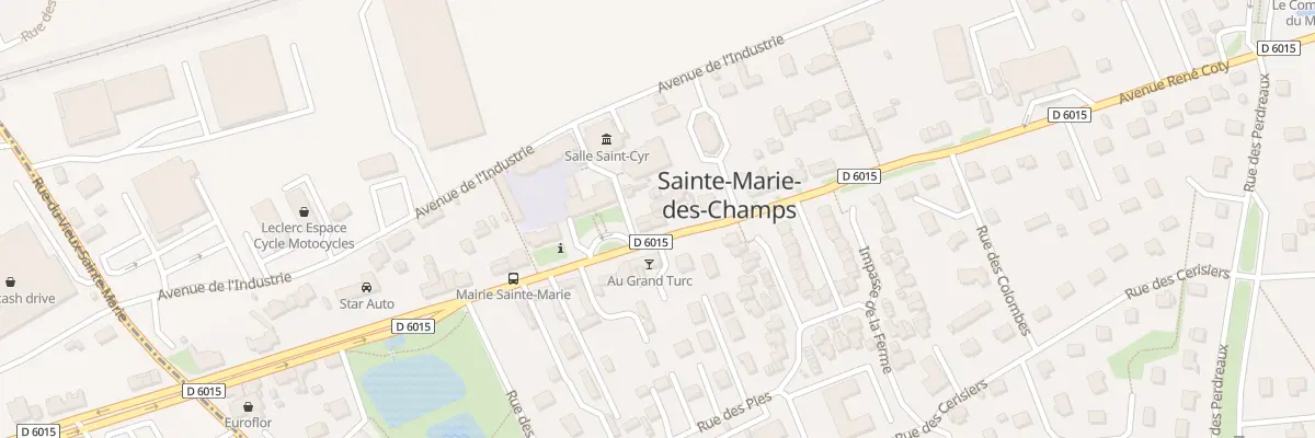 Plan du 45 Av René Coty à Sainte-Marie-des-Champs