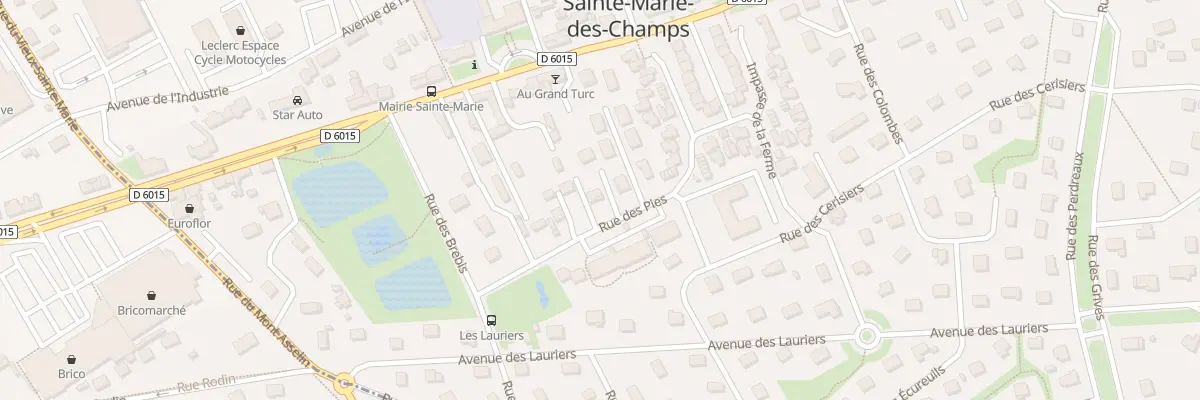Plan du 113 Rue des Pies à Sainte-Marie-des-Champs