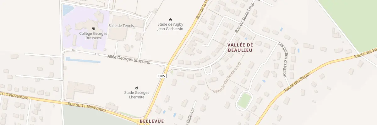 Plan du 4 Rue du Saute Loup à Esvres