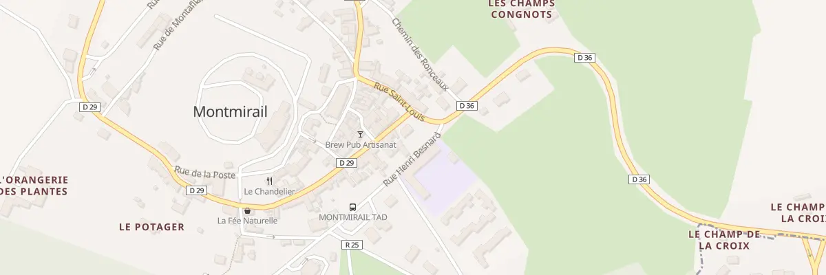 Plan du 2 Rue du Docteur Castaing à Montmirail