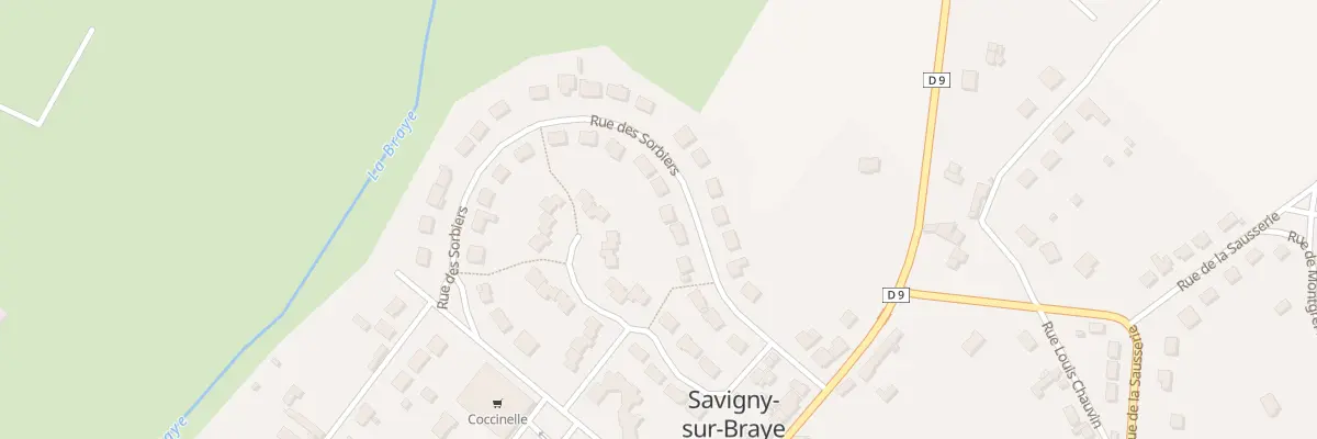 Plan du 24 Rue des Sorbiers à Savigny-sur-Braye