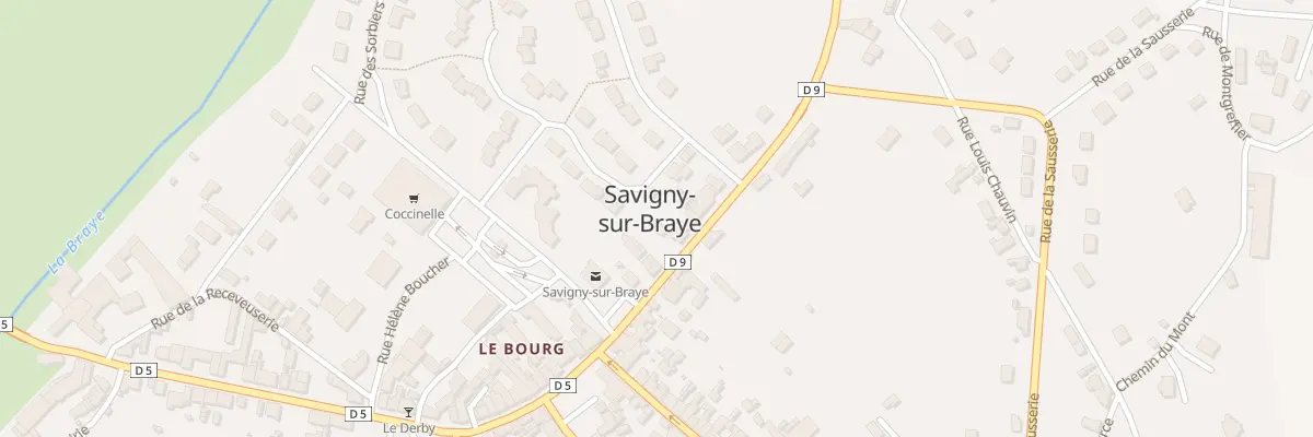 Plan du 5 Rue de la Canardière à Savigny-sur-Braye