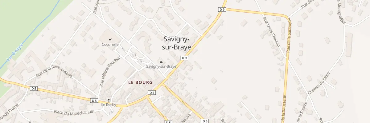 Plan du 10 Rue de la Canardière à Savigny-sur-Braye