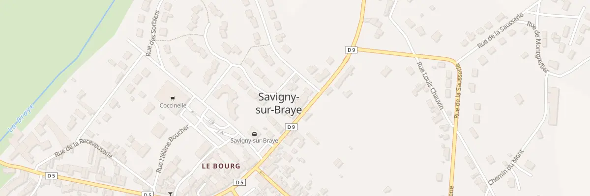 Plan du 9 Rue de la Canardière à Savigny-sur-Braye