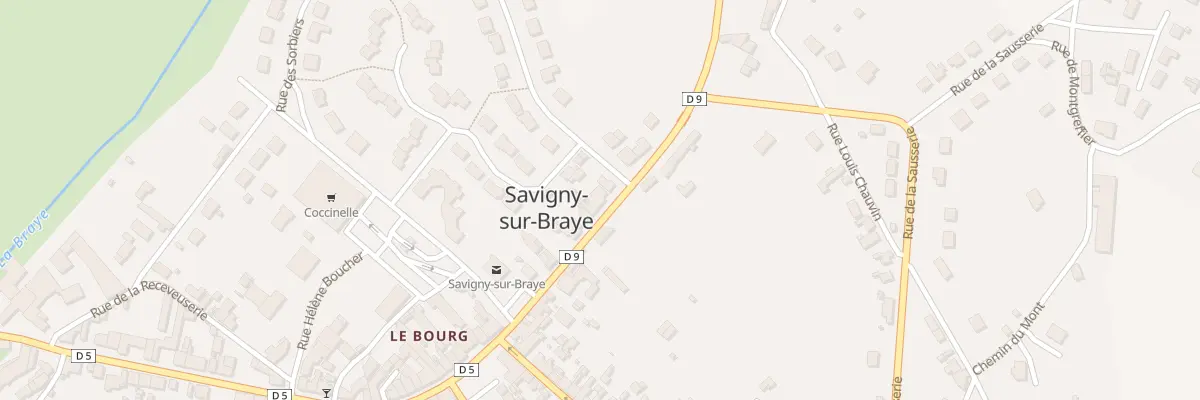 Plan du 11 Rue de la Canardière à Savigny-sur-Braye