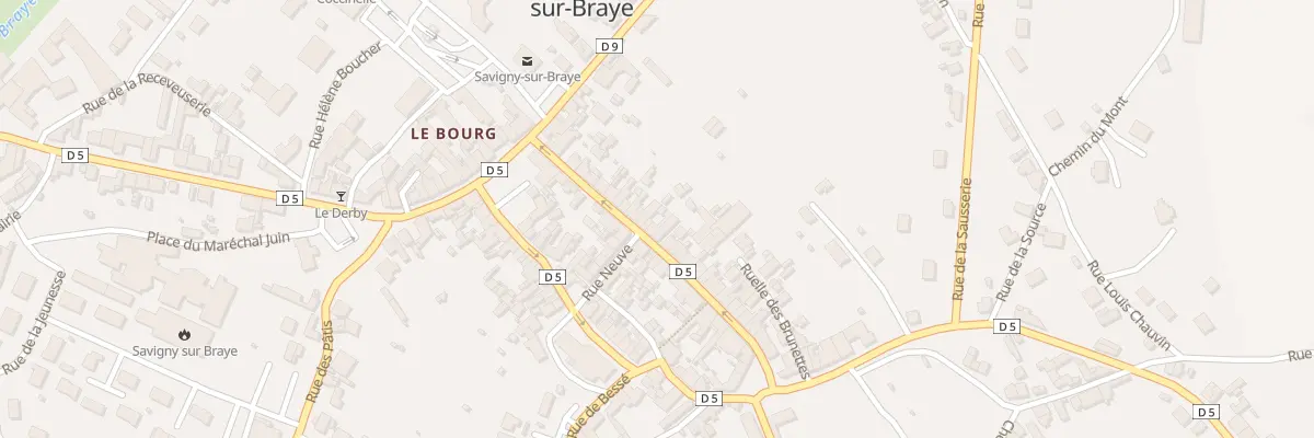 Plan du 29 Rue des Pépinieres à Savigny-sur-Braye