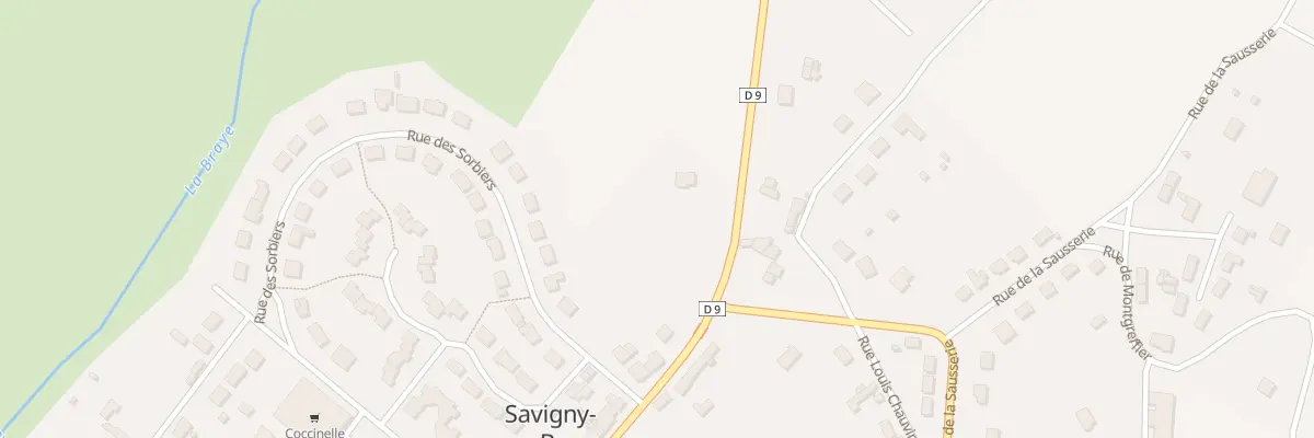 Plan du 21 Rue de la Canardière à Savigny-sur-Braye