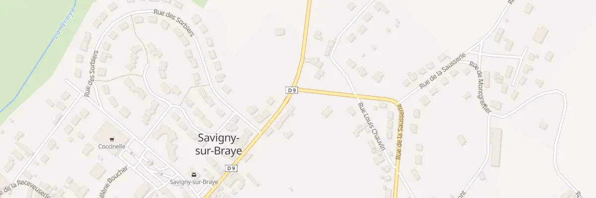 Plan du 20 Rue de la Canardière à Savigny-sur-Braye