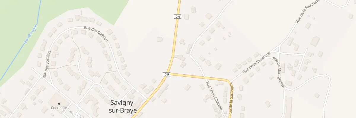 Plan du 22 Rue de la Canardière à Savigny-sur-Braye
