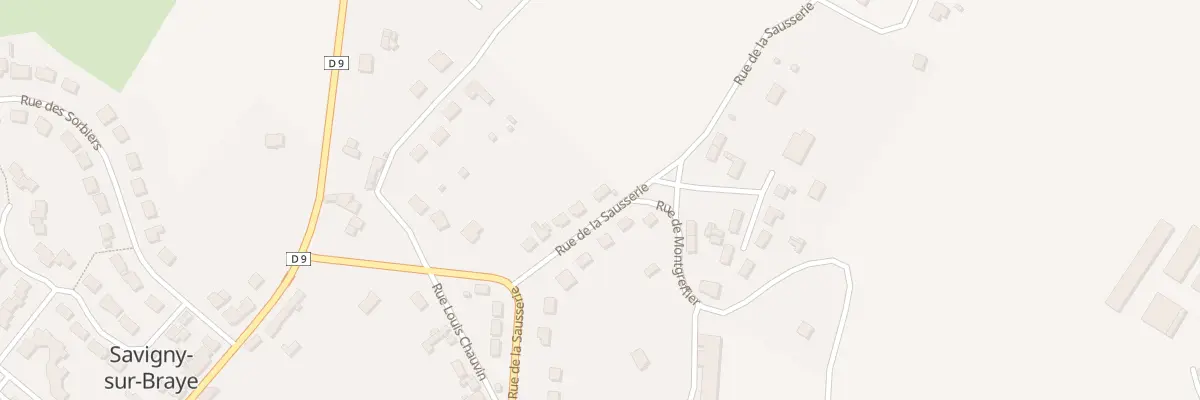 Plan du 31 Rue de la Sausserie à Savigny-sur-Braye