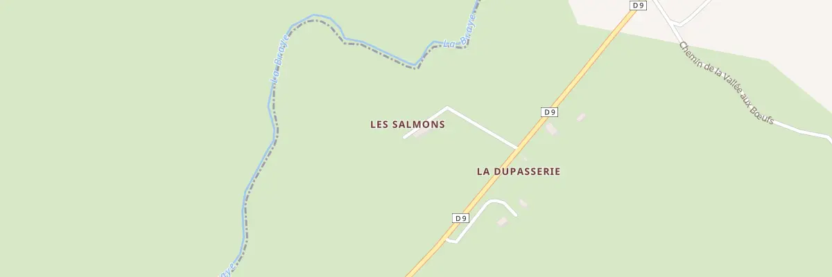 Plan du 1 Che des Salmons à Savigny-sur-Braye