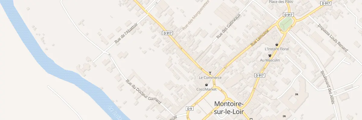 Plan du 31 Rue Saint-Jacques à Montoire-sur-le-Loir