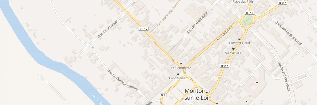 Plan du 29 Rue Saint-Jacques à Montoire-sur-le-Loir