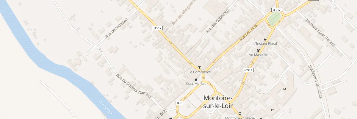 Plan du 23 Rue Saint-Jacques à Montoire-sur-le-Loir