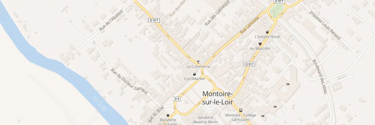 Plan du 9 Rue Saint-Jacques à Montoire-sur-le-Loir