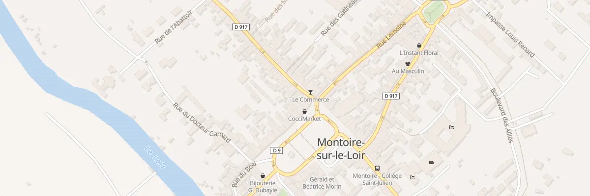 Plan du 5 Rue Saint-Jacques à Montoire-sur-le-Loir