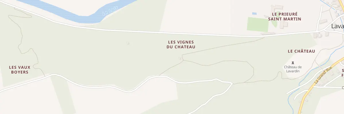 Plan du 256 Vignes du Chateau à Lavardin