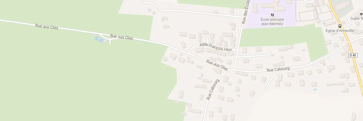 Plan du 105 Rue aux Oies à Anneville-Ambourville