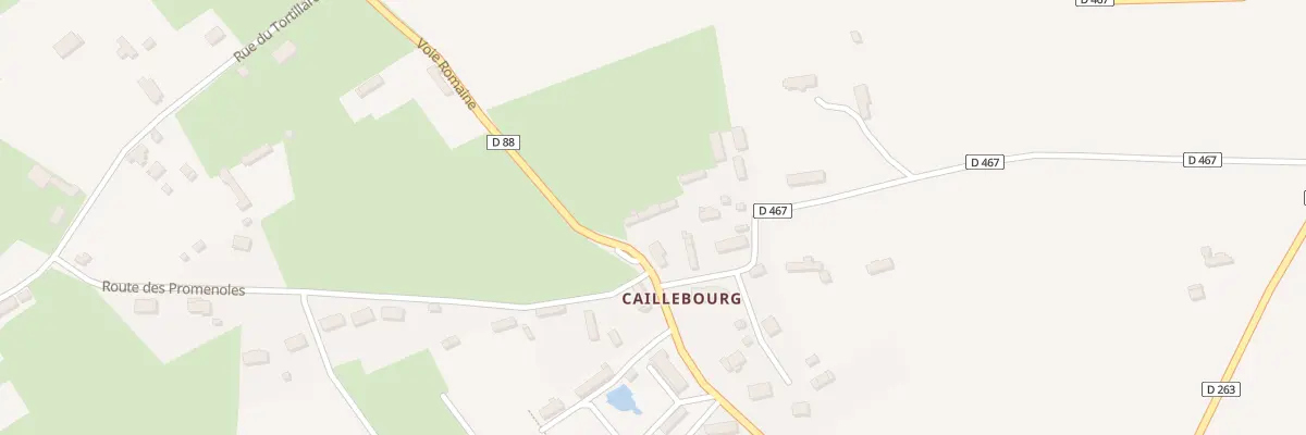 Plan du 454 La Voie Romaine à Saint-Martin-aux-Arbres