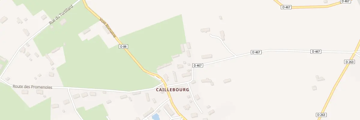 Plan du 420 Rue du Bosquet à Saint-Martin-aux-Arbres