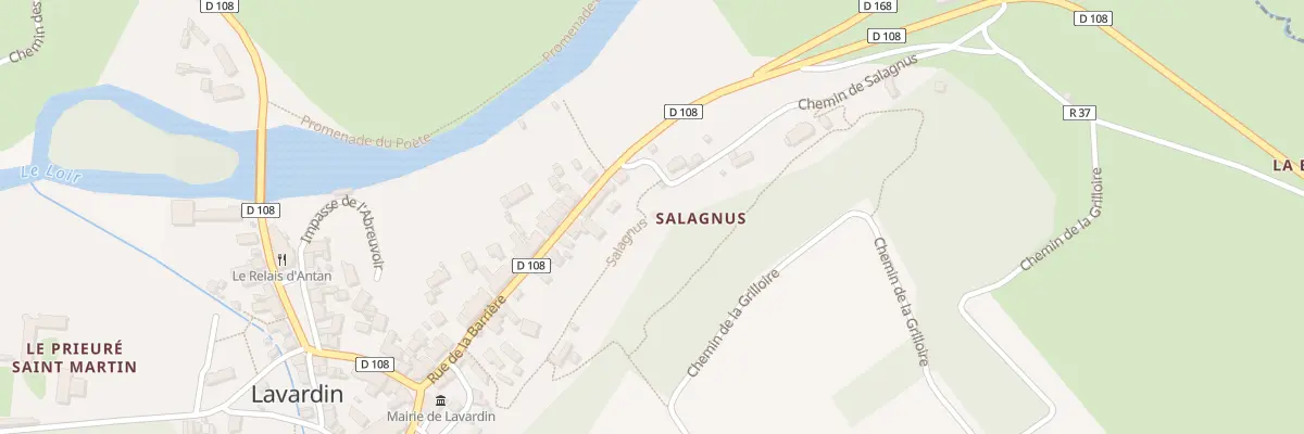 Plan du 133 Salagnus à Lavardin