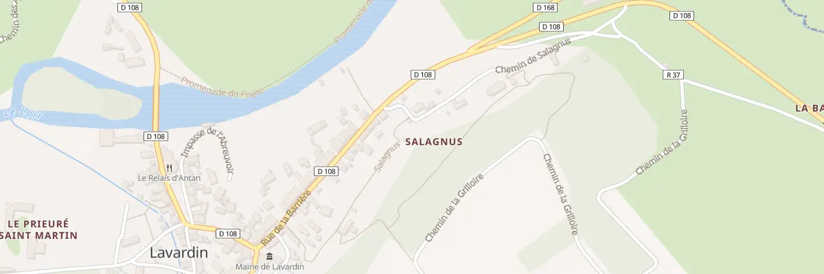 Plan du 99 Salagnus à Lavardin