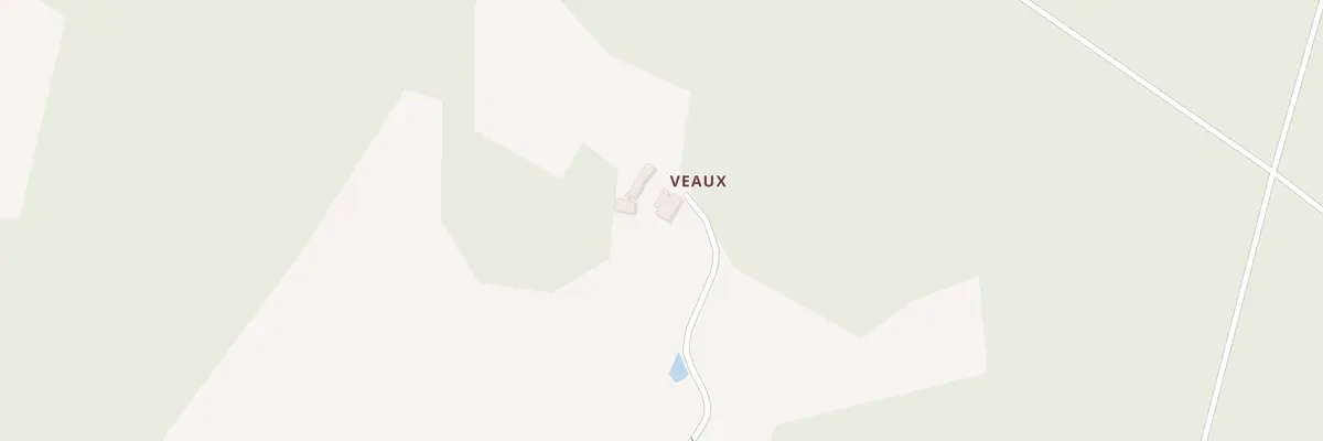 Plan du 163 La Ferme de Veaux à Boussay