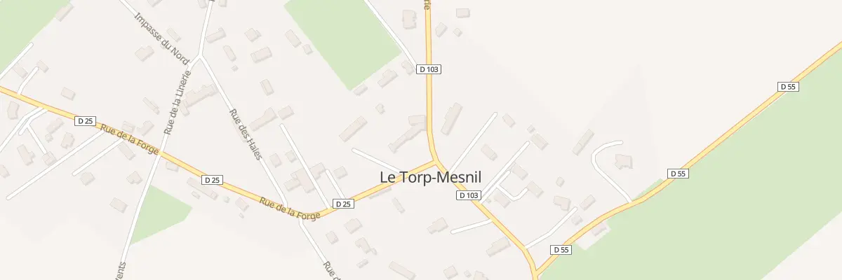 Plan du 181 Rue de la Mairie au Torp-Mesnil