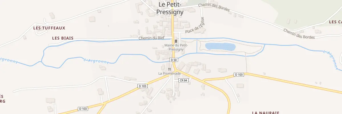 Plan du 15 Rue du Savoureulx au Petit-Pressigny