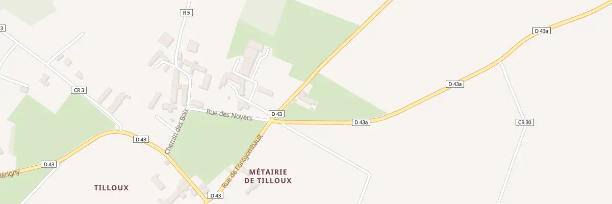 Plan du 10 Rue de Fontgombault à Sauzelles