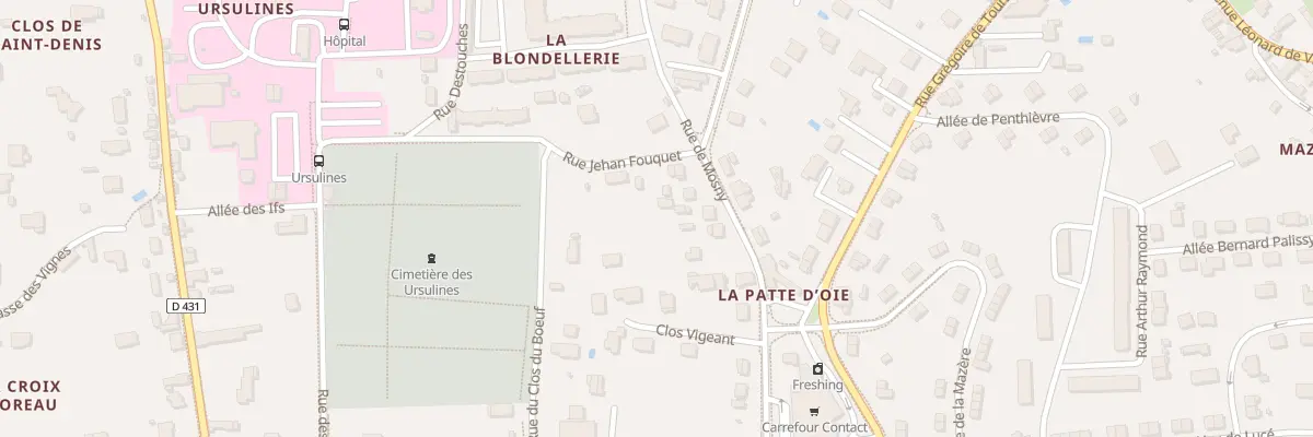 Plan du 20 Rue de Mosny à Amboise