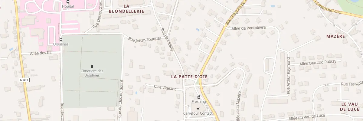 Plan du 53 Rue de Mosny à Amboise