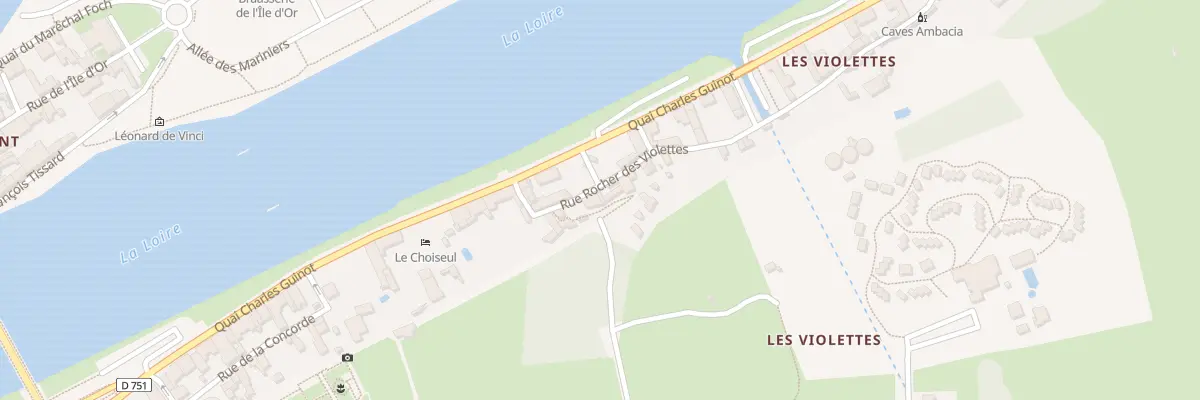 Plan du 10 Rue Rocher des Violettes à Amboise